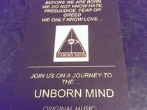 Unborn Mind