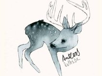 Antlers White