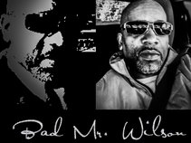 Bad Mr. Wilson™
