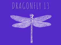 Dragonfly 13