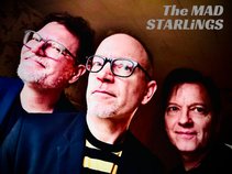 THE MAD STARLiNGS