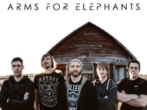 Arms For Elephants