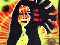 Pet The Muse