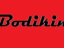 Bodikin