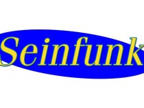 Seinfunk