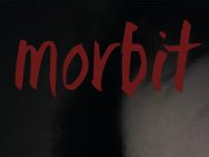 Morbit
