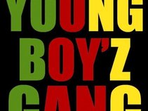 Young Boy'z Gang