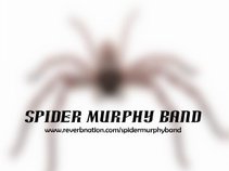 Spider Murphy Band