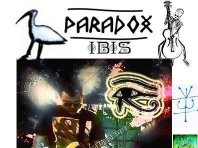 Paradox Ibis