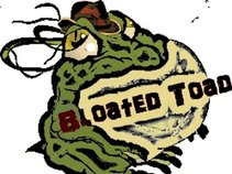 Bloated Toad
