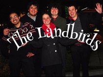 The Landbirds