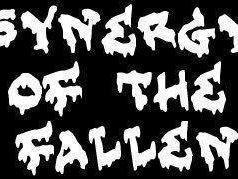 Image for Synergy Of The Fallen