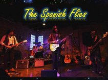The Spanish Flies