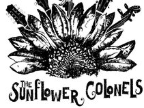 Sunflower Colonels