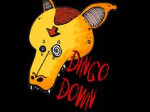 Dingo Down