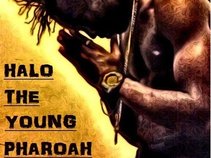 HALO THE YOUNG PHAROAH
