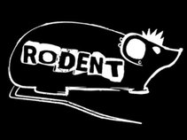 Rodent