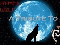 Brother Wolf A Tribute to the Cult