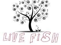 Live Fish