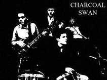 Charcoal Swan