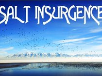 Salt Insurgence