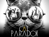 A CAT PARADOX