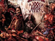 Coffins/XXX Maniak