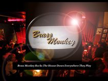 The Brass Monkey Band