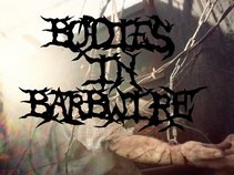Bodies in Barbwire