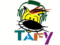 Tafy