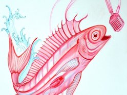 Image for Pink Talking Fish