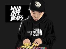 Wild Lyfe Beats / WildLyfeBeats.com