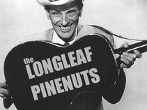 Longleaf Pine Nuts