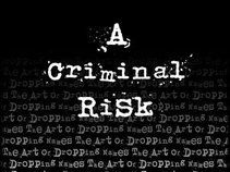 A Criminal Risk