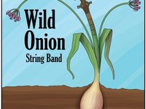 Wild Onion String Band