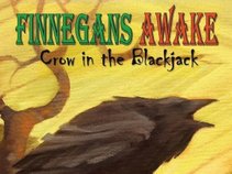 Finnegans Awake