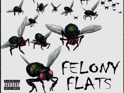 Image for Felony Flats