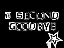 A Second Goodbye