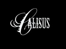Calisus