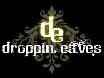 Droppin Eaves Band