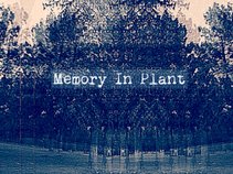 Memory In Plant