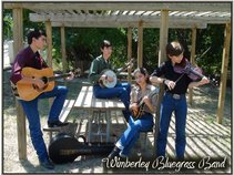 Wimberley Bluegrass Band