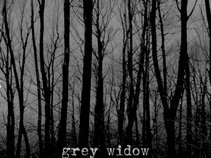 Grey Widow