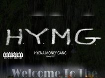 Hyena Money Gang