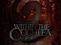 Within The Cochlea