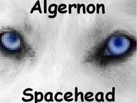 Algernon Spacehead