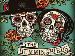 Image for The Hummingbirds