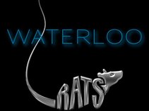 Waterloo Rats