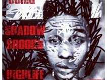Shadow Brooks