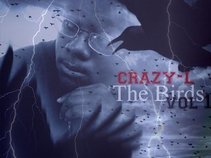 crazy-l focus gang